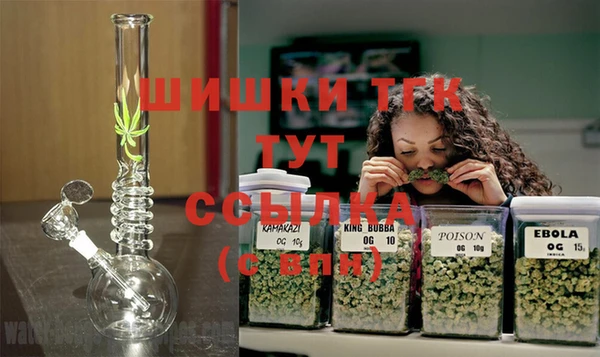 ешки Мегион