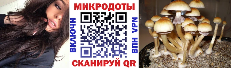 Галлюциногенные грибы мицелий  МЕГА как зайти  Учалы 