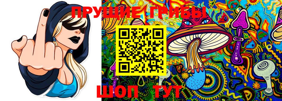 дарнет шоп  Учалы  Псилоцибиновые грибы Psilocybe 