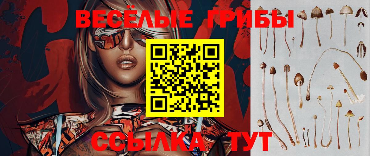 Галлюциногенные грибы Cubensis Учалы