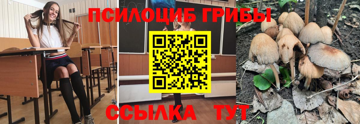 Учалы  купить наркотики цена  Вход с VPN  Псилоцибиновые грибы GOLDEN TEACHER 